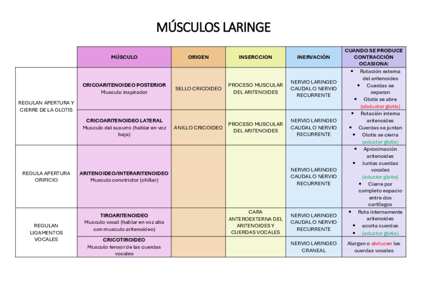 Miniatura del documento MUSCULOS-LARINGE.pdf