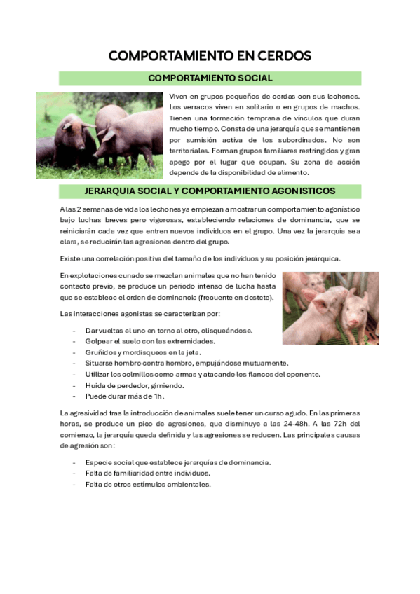Miniatura del documento 8.-COMPORTAMIENTO-EN-CERDOS.pdf