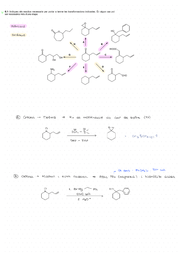 Miniatura del documento E6-i-E7-MS.pdf