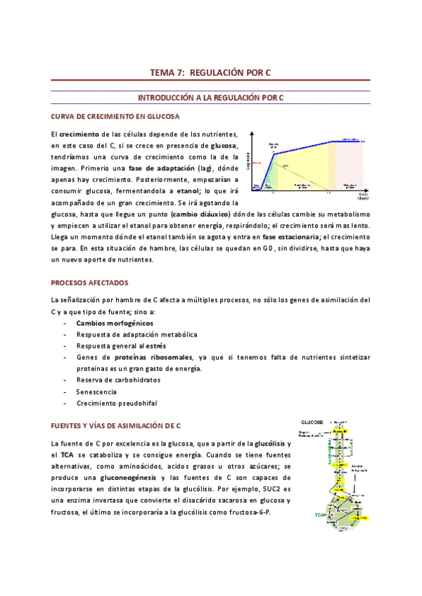 Miniatura del documento Tema-7-Regulacion-por-C.pdf
