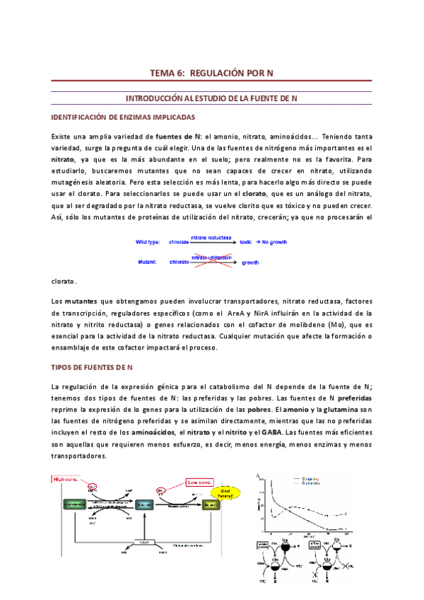 Miniatura del documento Tema-6-asimilacion-de-N.pdf