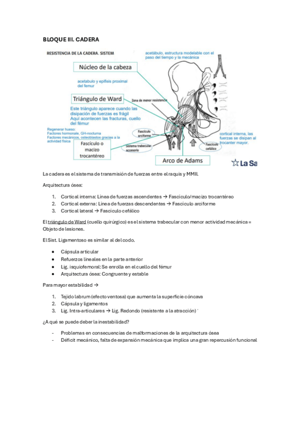 Miniatura del documento Cadera-Rodilla-Pie.pdf
