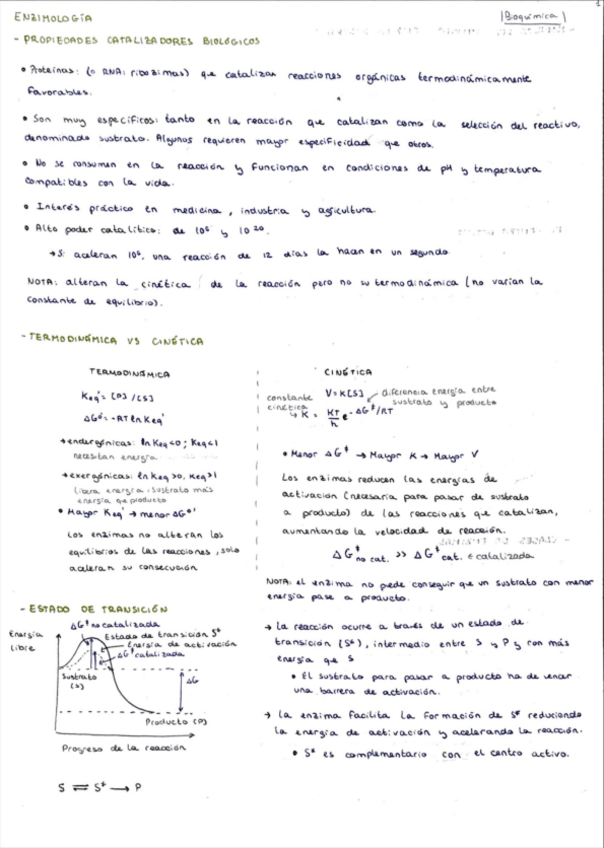 Miniatura del documento 2.1-enzimologia.pdf