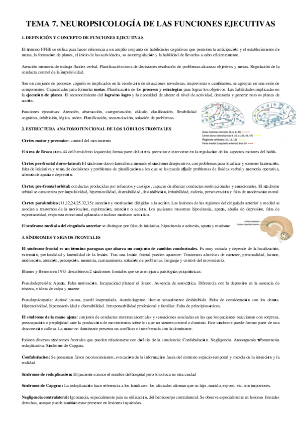 Miniatura del documento TEMA-7-Neuro.pdf