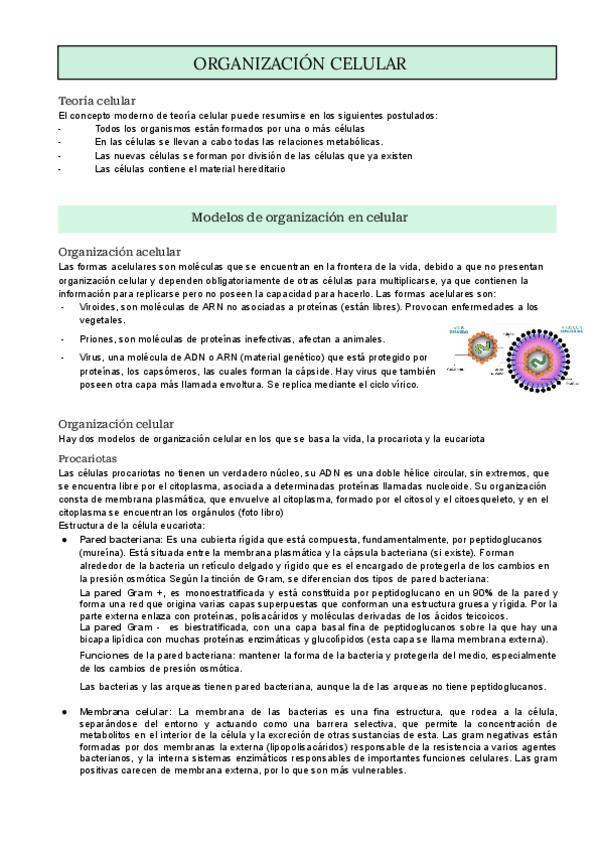Miniatura del documento Organizacion-celular.pdf