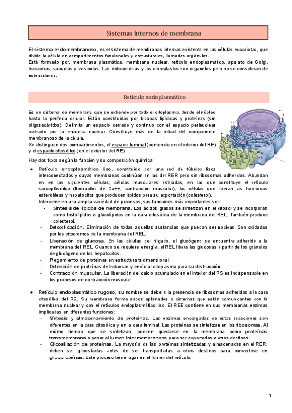 Miniatura del documento Sistemas-internos-de-membrana.pdf