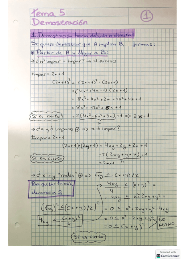 Miniatura del documento Apuntes-y-ejercicios-demostracion.pdf
