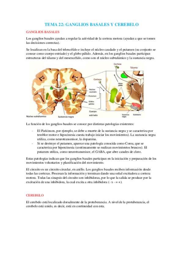 Miniatura del documento Tema 22.pdf