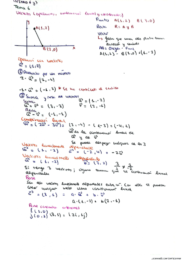 Miniatura del documento tema-6-vectores.pdf