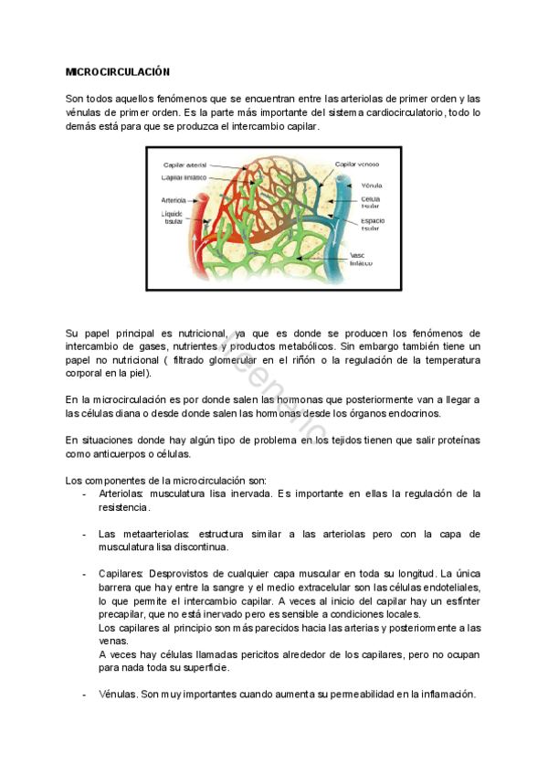 Miniatura del documento MICROCIRCULACION.pdf