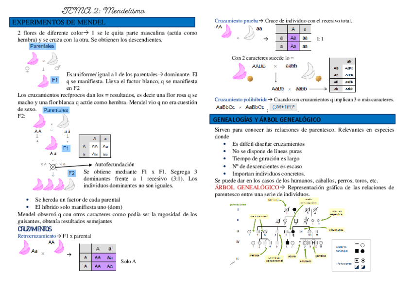 Miniatura del documento T-2-gen.-gnral.pdf