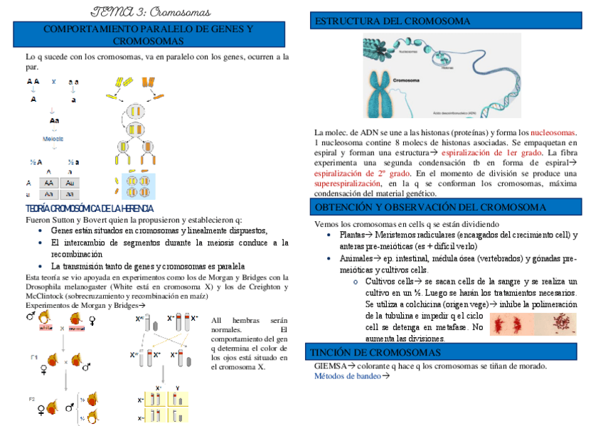 Miniatura del documento T-3-gen.-gnral.pdf