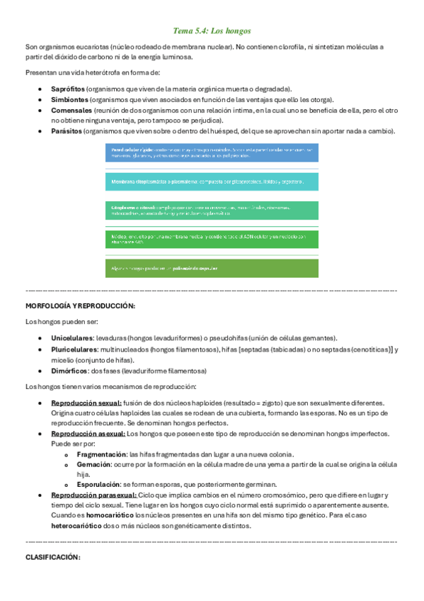 Miniatura del documento Comunitaria-5.4.pdf