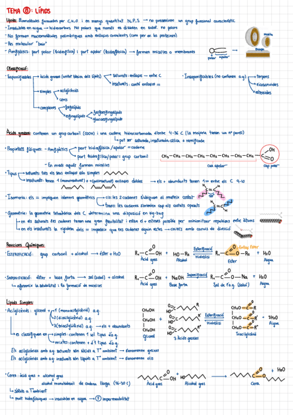 Miniatura del documento T8-Lipids.pdf