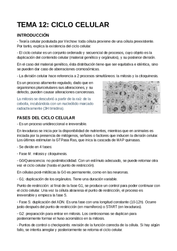 Miniatura del documento T12-Ciclo-celular.pdf