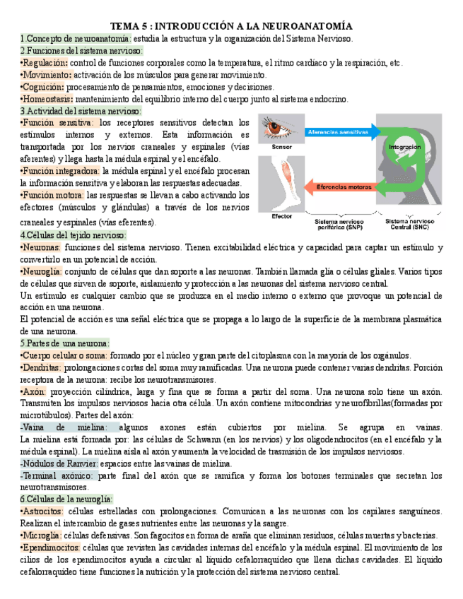 Miniatura del documento temas-5-9-biologia.pdf