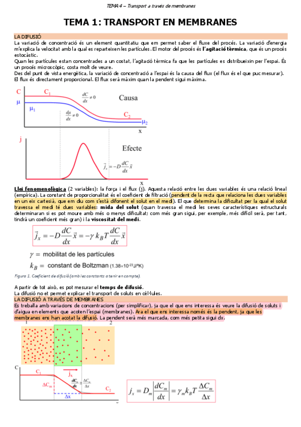 Miniatura del documento TEMA-4-Transport-a-traves-de-membranes.pdf