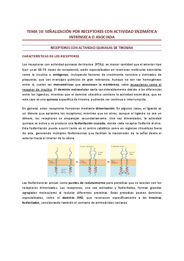 Miniatura del documento Tema-10.pdf