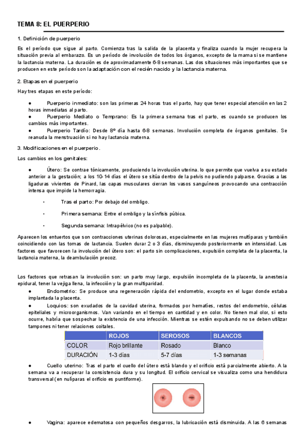 Miniatura del documento 8.-El-puerperio.-Apuntes.pdf
