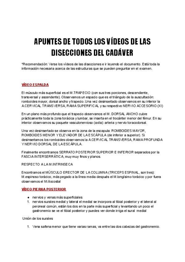 Miniatura del documento Apuntes-disecciones-de-Anatomia-general.pdf