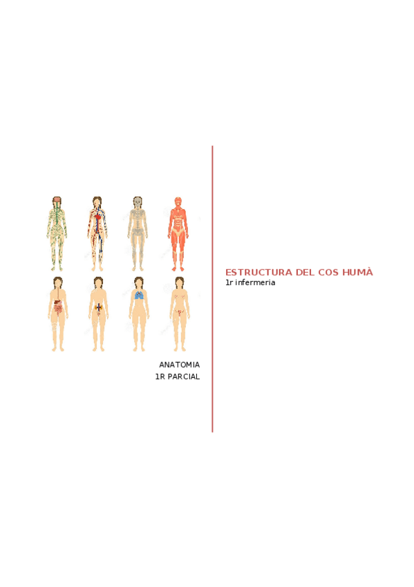 Miniatura del documento APUNTS CLARS.docx