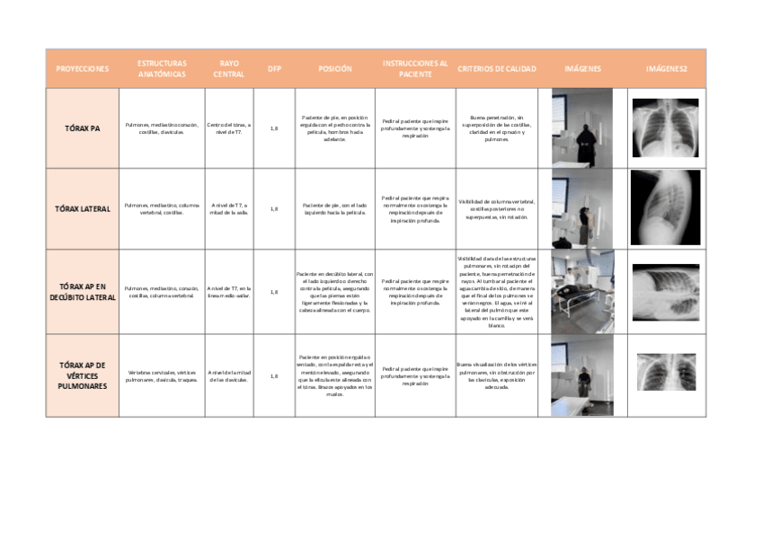 Miniatura del documento PROYECCIONES-DE-TORAX-Y-ABDOMEN.pdf
