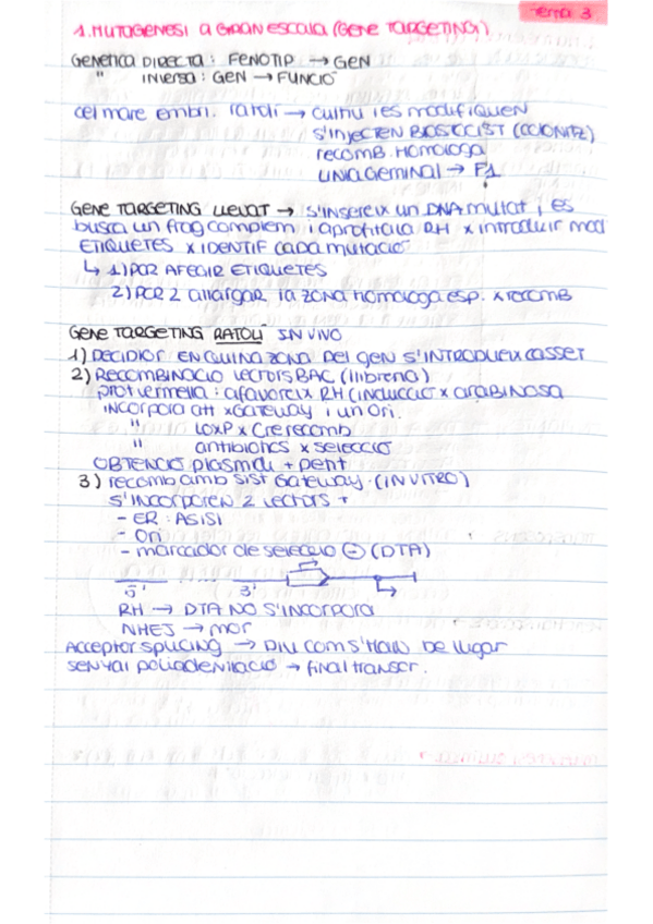 Miniatura del documento Esquemes-MGO-TEMA-3.pdf