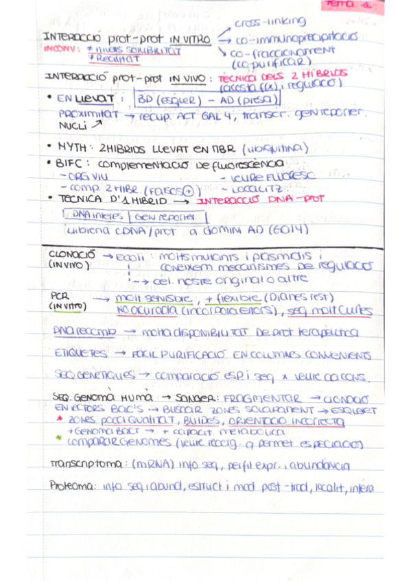 Miniatura del documento Esquemes-MGO-TEMA-2.pdf