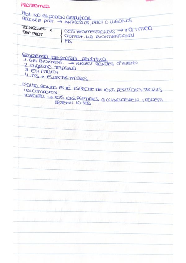 Miniatura del documento Esquemes-MGO-TEMA-5.pdf