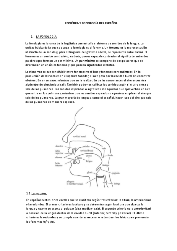 Miniatura del documento Tema-2.-Fonetica-y-fonologia-del-Espanol.pdf