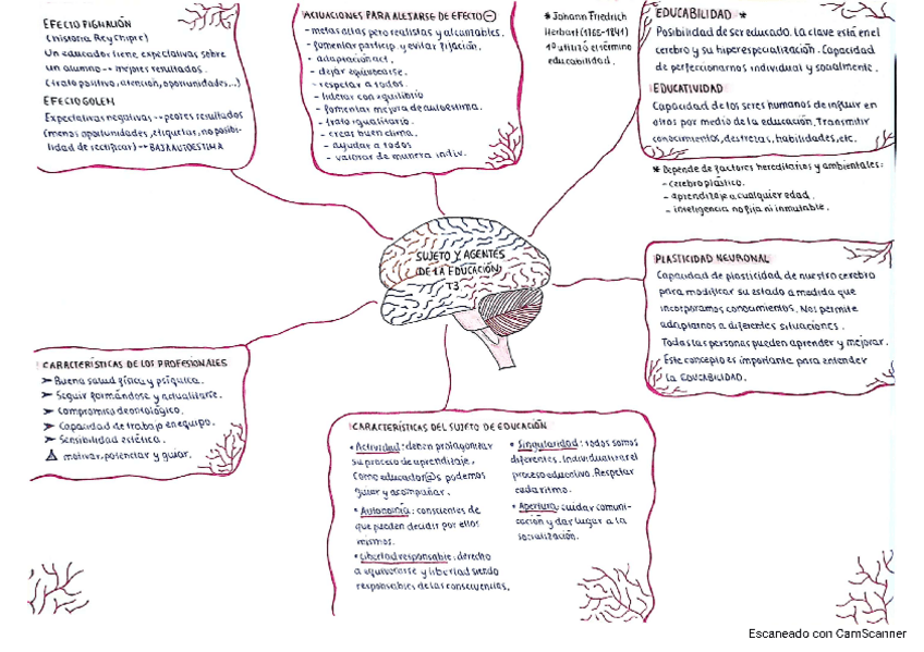 Miniatura del documento Esquema-tema-3-PARA-EXAMEN.pdf
