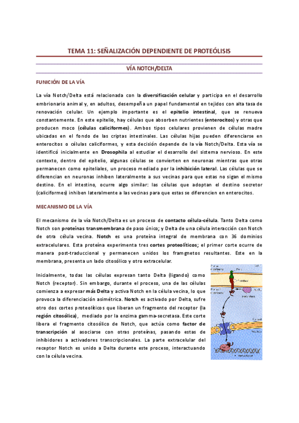 Miniatura del documento Tema-11.pdf