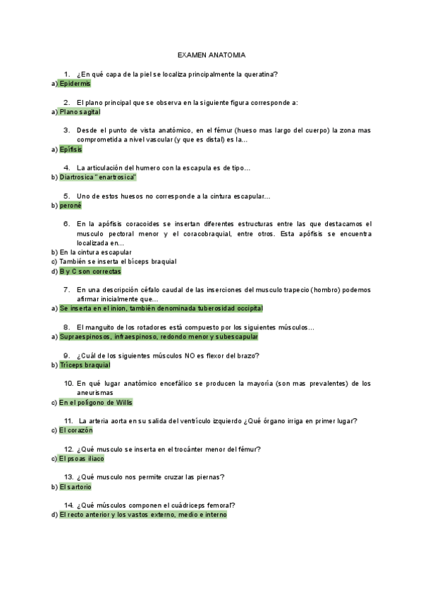 Miniatura del documento PREGUNTAS-ANATOMIA.pdf