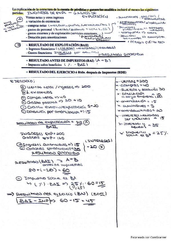 Miniatura del documento Cuenta-de-perdidas-y-ganancias-PYG.pdf