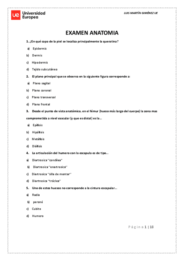 Miniatura del documento EXAMEN-ANATOMIA-SIN-RESPIESTAS-2023.pdf