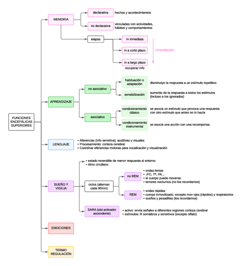 Miniatura del documento Esquema-funciones-encefalicas-superiores.pdf