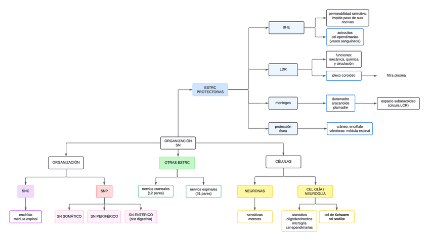 Miniatura del documento Esquema-organizacion-SN.pdf