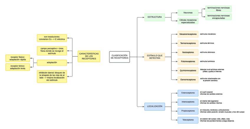 Miniatura del documento Esquema-receptores.pdf