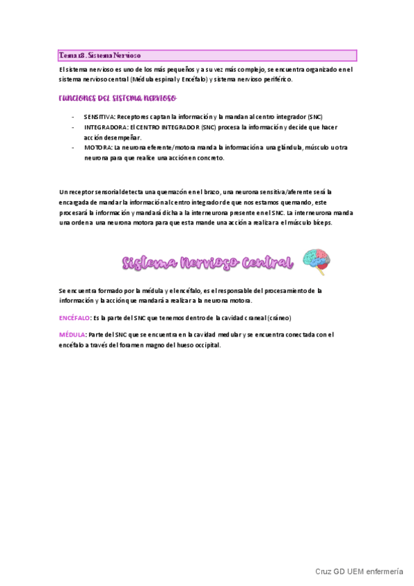 Miniatura del documento SISTEMA-NERVIOSO-18-20.pdf