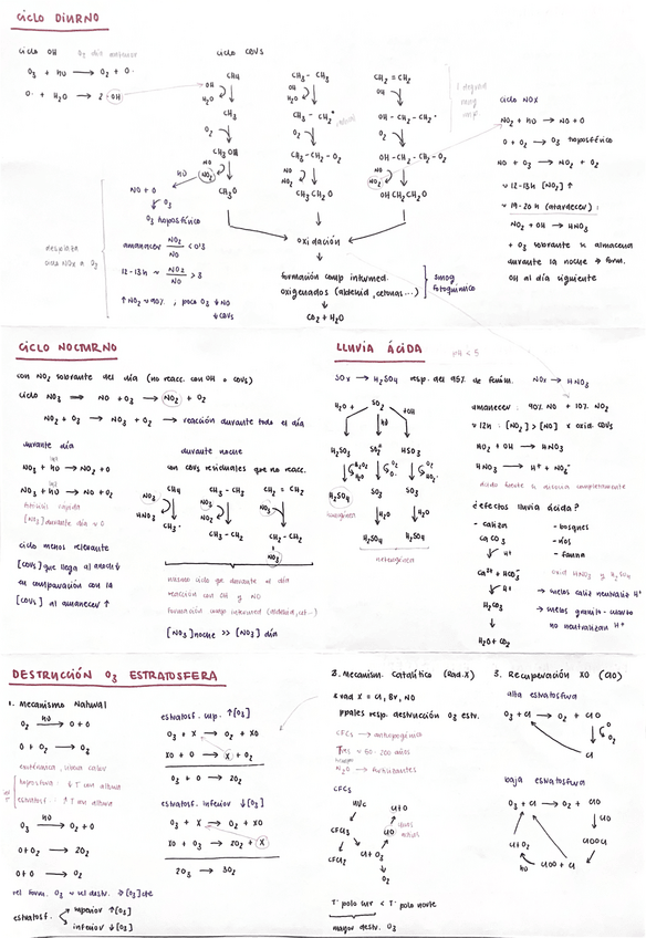 Miniatura del documento ciclos-contaminantes.pdf