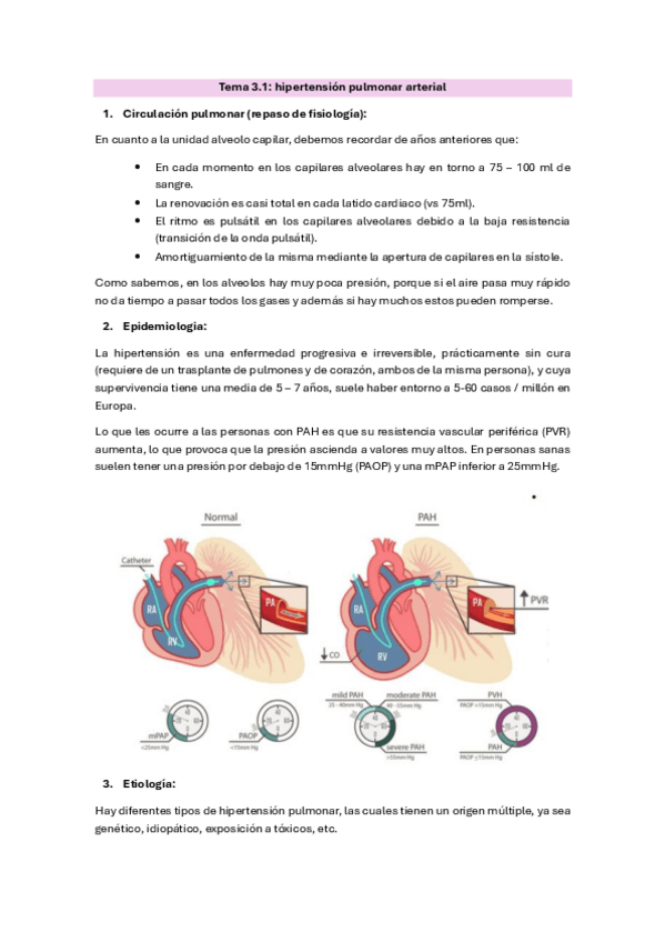 Miniatura del documento Tema-3.2.-Hipertension-arterial-pulmonar.pdf