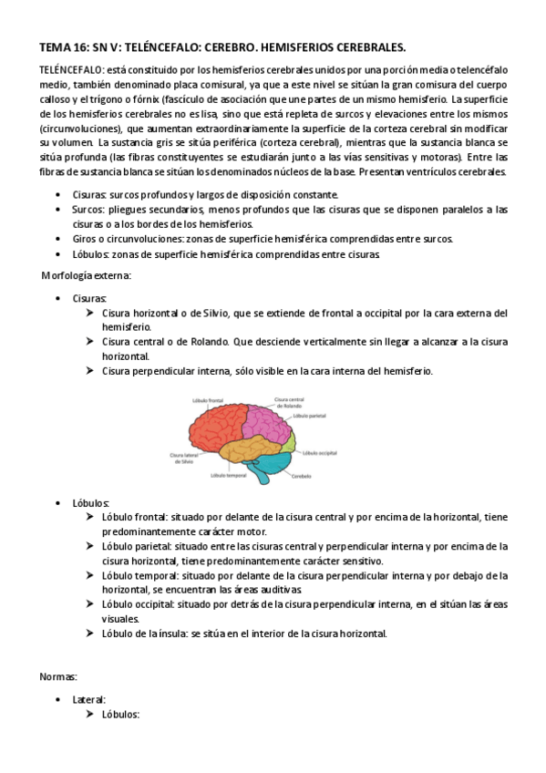 Miniatura del documento TEMA-16.pdf