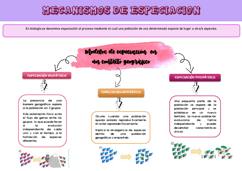 Miniatura del documento APUNTE-DE-BIOLOGIA-2-5to-Ano.pdf