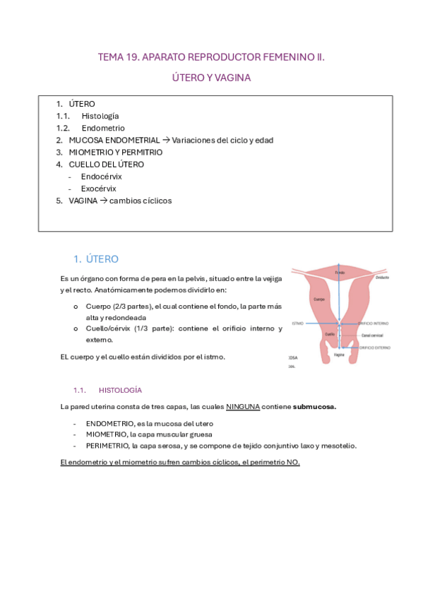 Miniatura del documento tema-19-histologia-especial.pdf