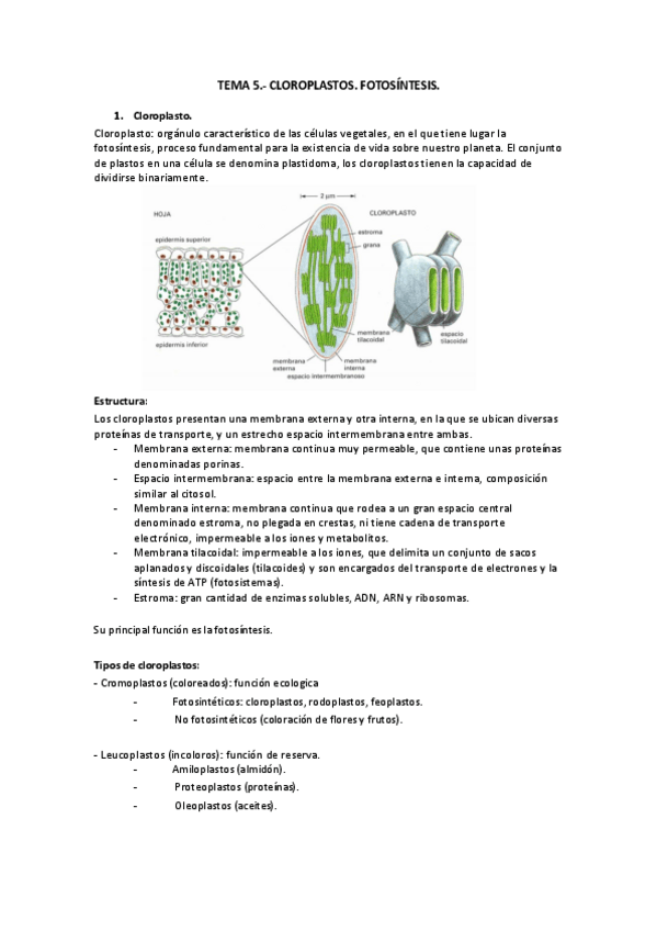 Miniatura del documento T-5 biologia.pdf