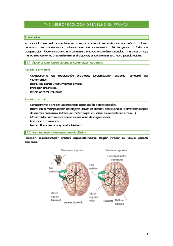 Miniatura del documento 4.2.Neuropsicologia-de-la-funcion-praxica..pdf