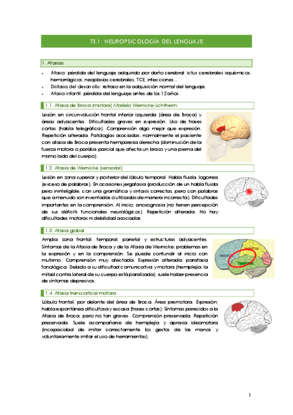 Miniatura del documento T3.1Neuropsicologia-del-lenguaje..pdf
