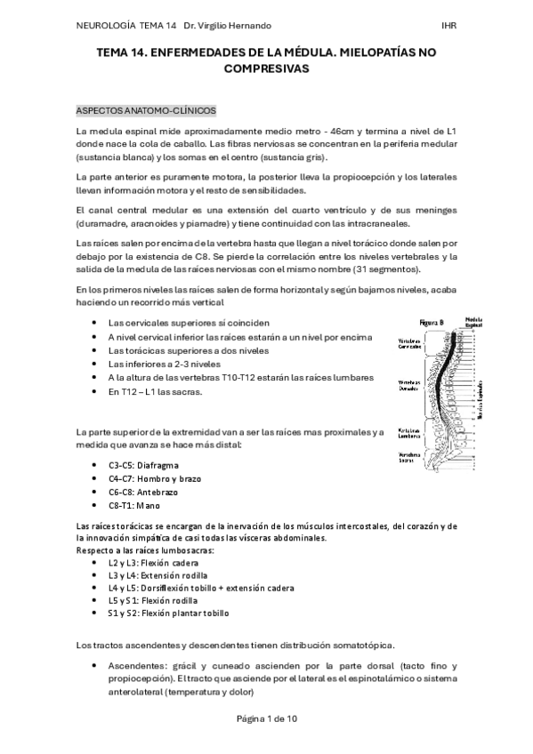 Miniatura del documento tema-14.pdf