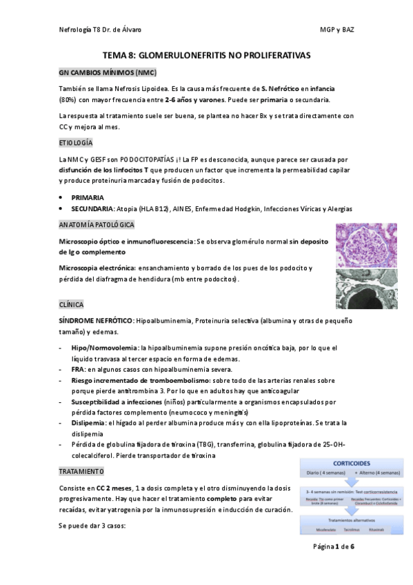 Miniatura del documento TEMA-8.pdf