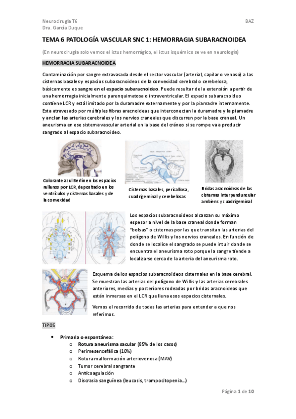 Miniatura del documento TEMA-6-NEUROCX.pdf